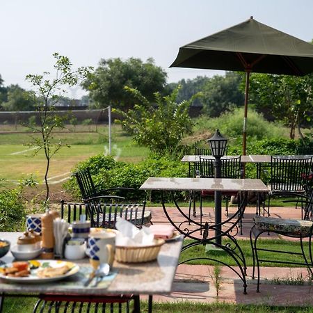 Tree Of Life Ecotainers Agra Hotell Agra  Exteriör bild