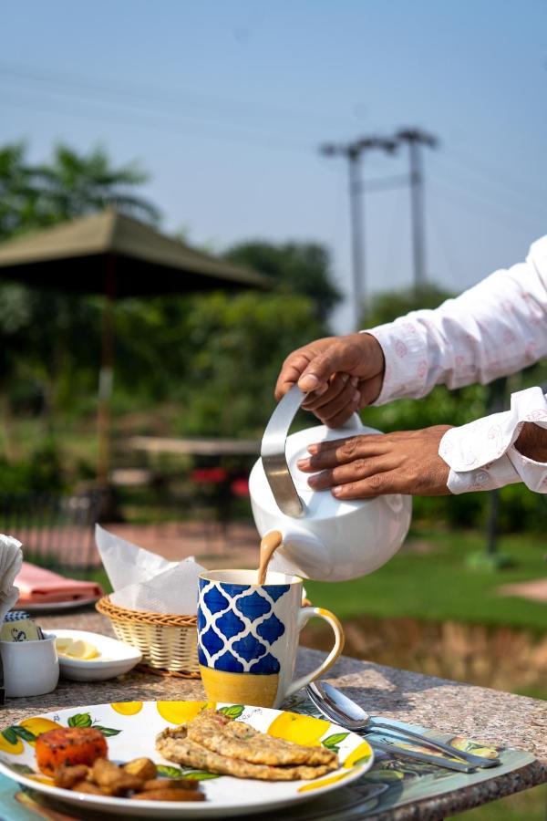 Tree Of Life Ecotainers Agra Hotell Agra  Exteriör bild