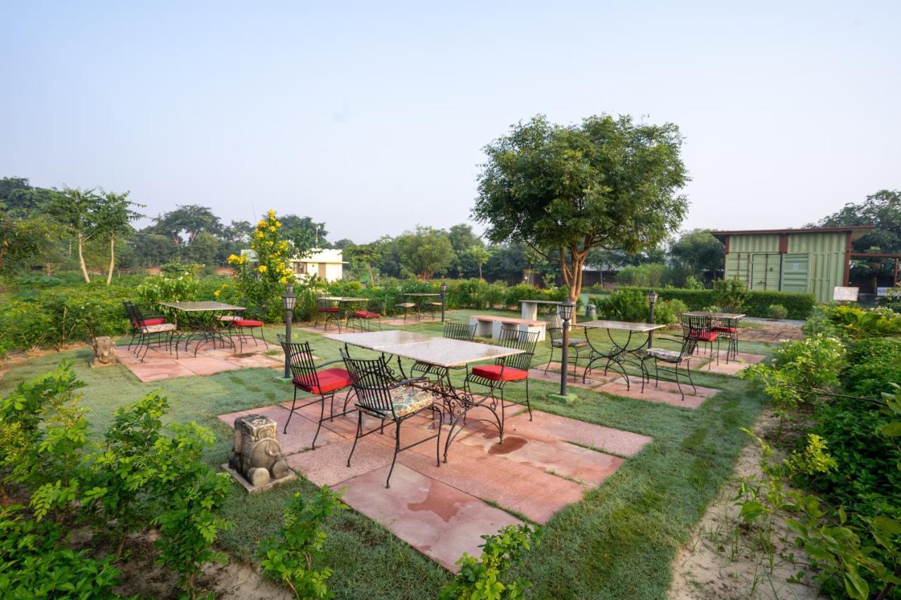 Tree Of Life Ecotainers Agra Hotell Agra  Exteriör bild