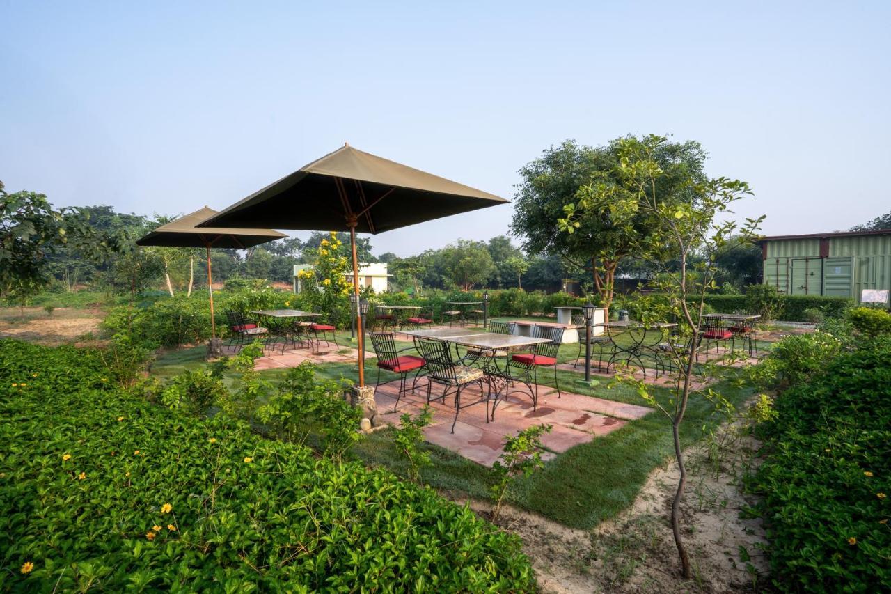 Tree Of Life Ecotainers Agra Hotell Agra  Exteriör bild