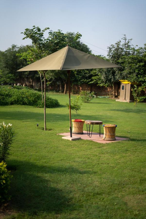 Tree Of Life Ecotainers Agra Hotell Agra  Exteriör bild